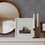 Rose Lace Self-adhesive Wallpaper