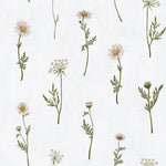 Échantillon de papier peint Marguerites oniriques