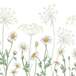 Échantillon de murale autocollante Champ de marguerites - Décor ImpriméÉchantillonsDécor Imprimé