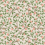 Échantillon de papier peint autocollant Récolte d'abricots - Décor ImpriméÉchantillonsDécor Imprimé