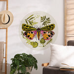 Autocollant mural Papillon de nuit 02 - Décor ImpriméAutocollantKatrin Leblond