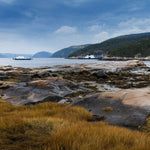 Échantillon de murale autocollante Auguste - Décor ImpriméÉchantillonsDécor Imprimé