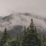 Échantillon de murale autocollante Brume montagne - Décor ImpriméÉchantillonsDécor Imprimé