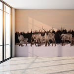 Tundra Caribou Self-adhesive Wallpaper – Mural by Jean-Simon Bégin, Décor Imprimé (view 1/4)