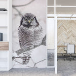 Nice Hawk Self-adhesive Wallpaper – Mural by Jean-Simon Bégin, Décor Imprimé (view 1/4)