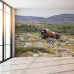 Muskox 01 Self-adhesive Wallpaper – Mural by Jean-Simon Bégin, Décor Imprimé (view 1/4)