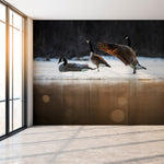 Murale autocollante Oiseaux d'hiver – Murale par Jean-Simon Bégin, Décor Imprimé (vue 1/4)