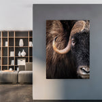 Muskox 02 Canvas Print – Canvas fabrics by Jean-Simon Bégin, Décor Imprimé (view 1/6)