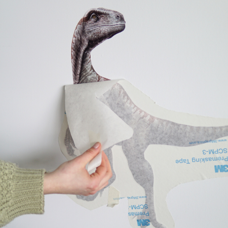 Retrait du papier transfert