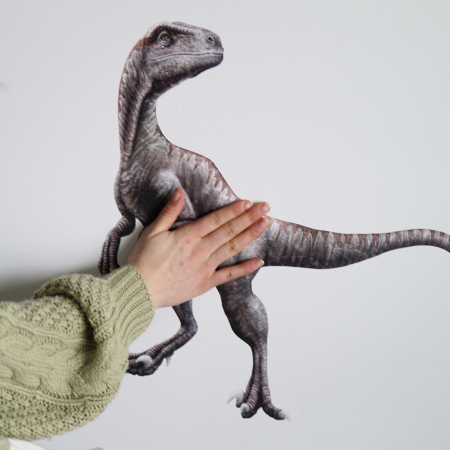 Mur avec autocollant appliqué