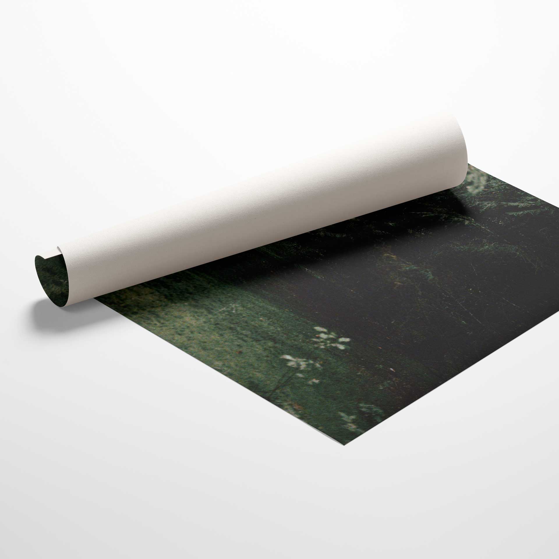 Toile Sentier de mousse | Art mural foret – Décor Imprimé
