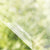 Pellicule pour vitre Solange par Décor Imprimé